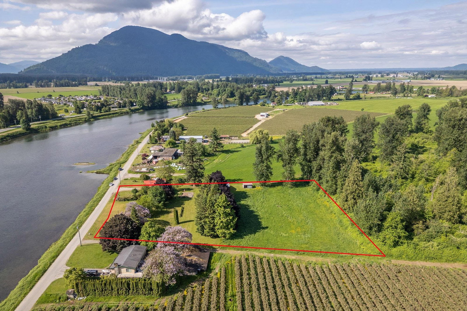Listing Image 4