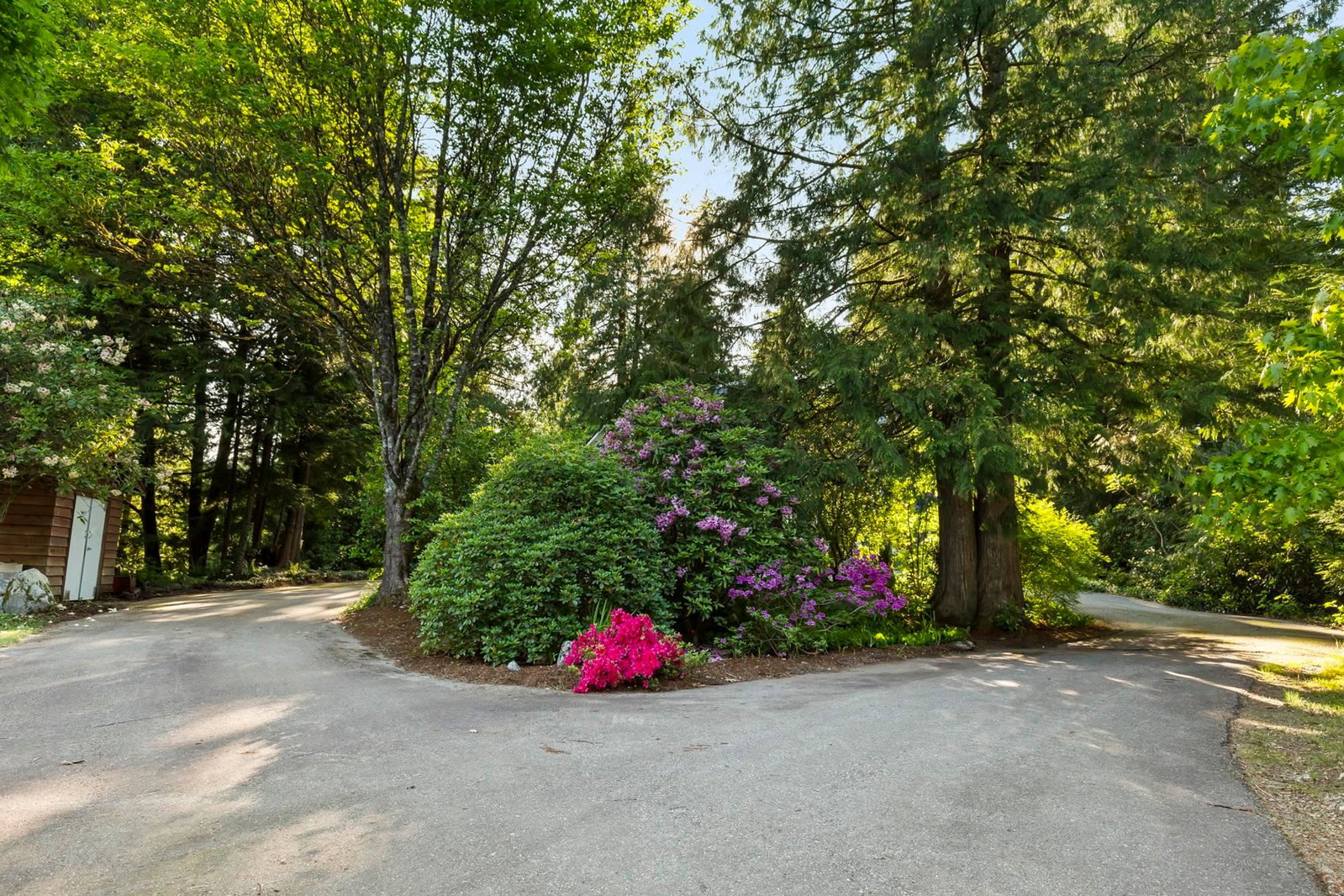 Listing Image 34