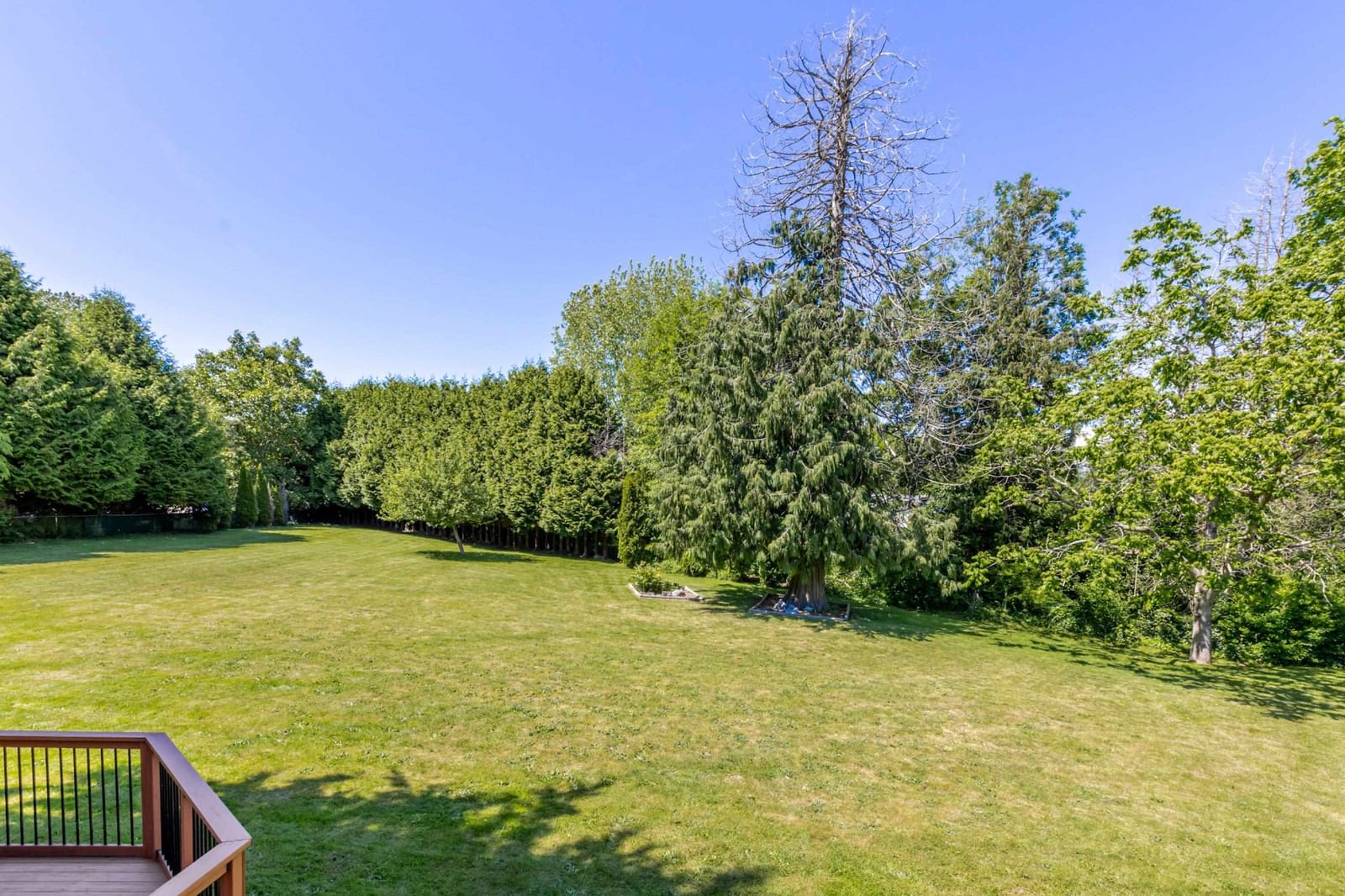 Listing Image 35