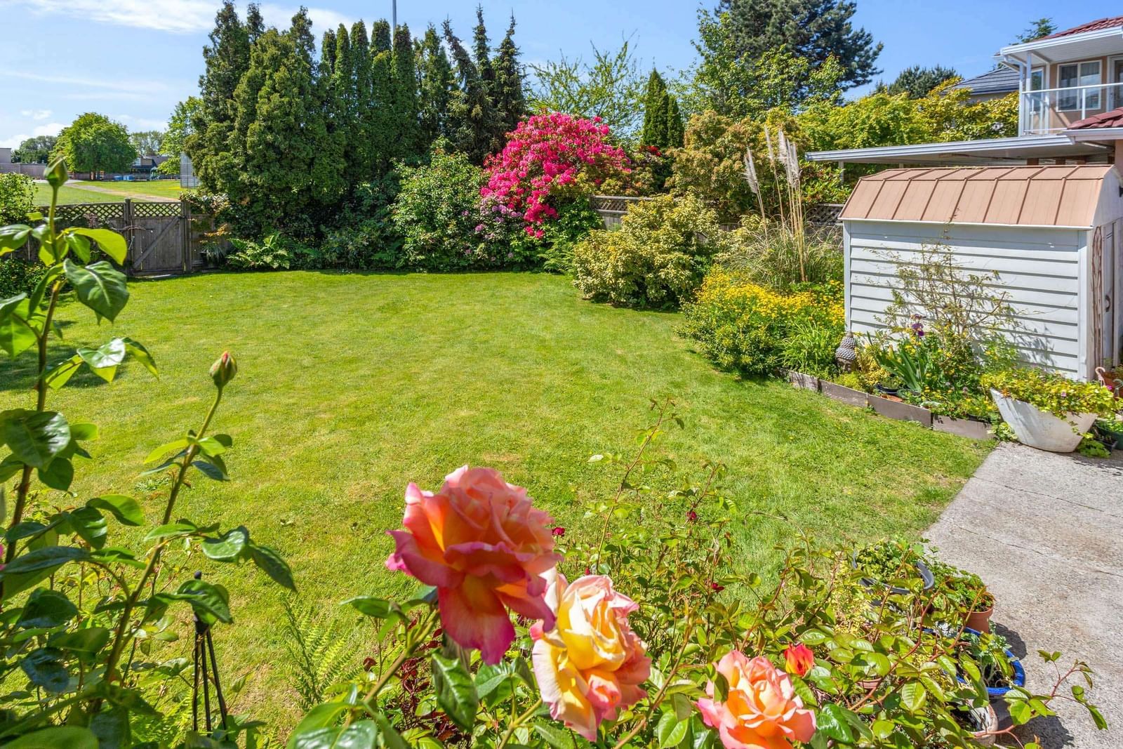 Listing Image 29