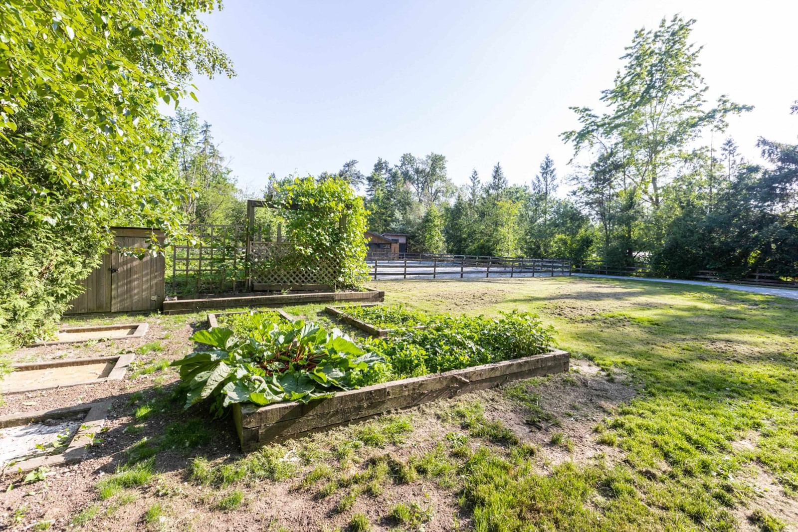 Listing Image 13