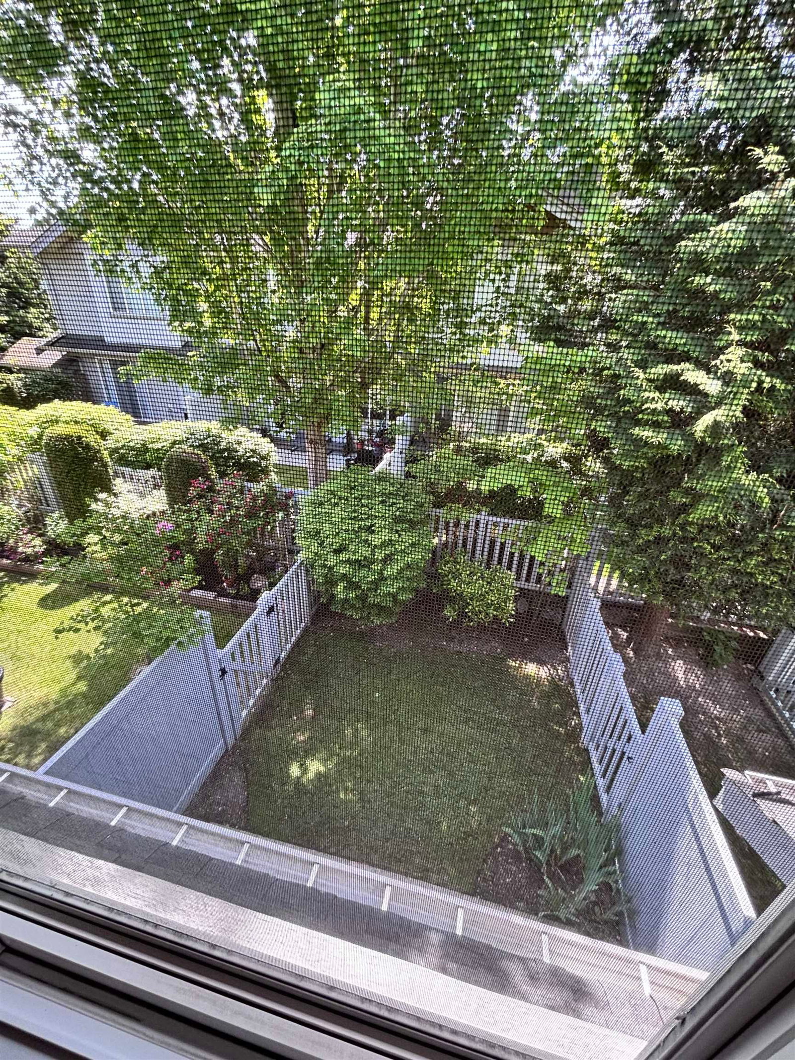 Listing Image 8