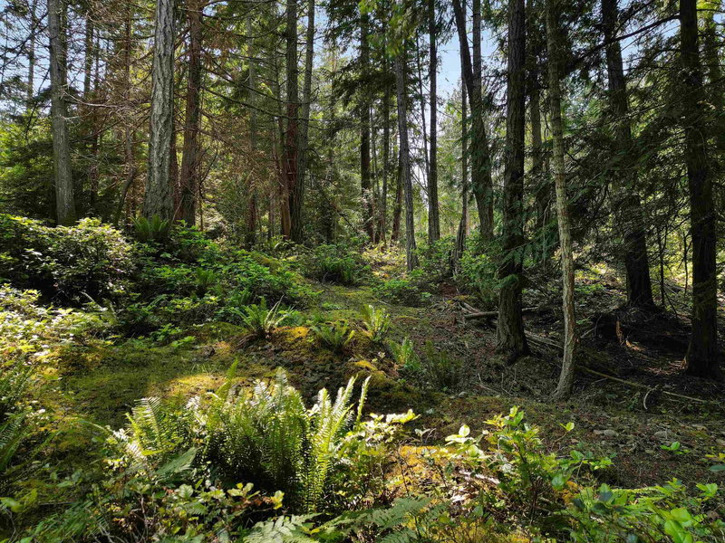 568 Aya Reach Road, Mayne Island, V0N 2J1 | Image 3