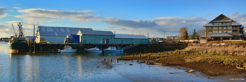 8951 Finn Road, Richmond, V7A 5C5 | Image 2