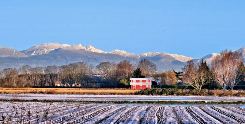 8951 Finn Road, Richmond, V7A 5C5 | Image 3