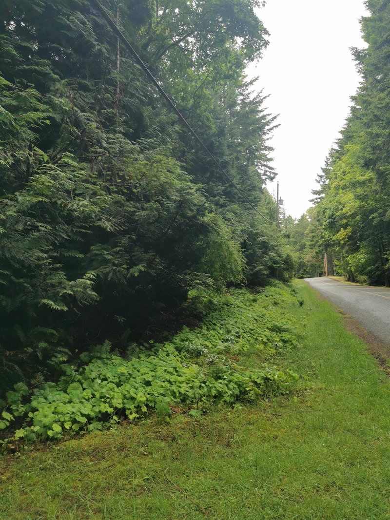 706 Fernhill Road, Mayne Island, V0N 2J1 | Image 3