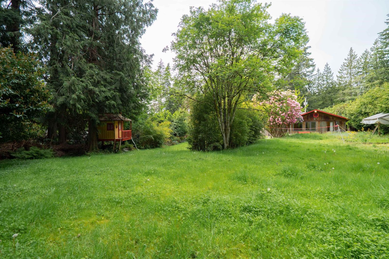 Listing Image 36