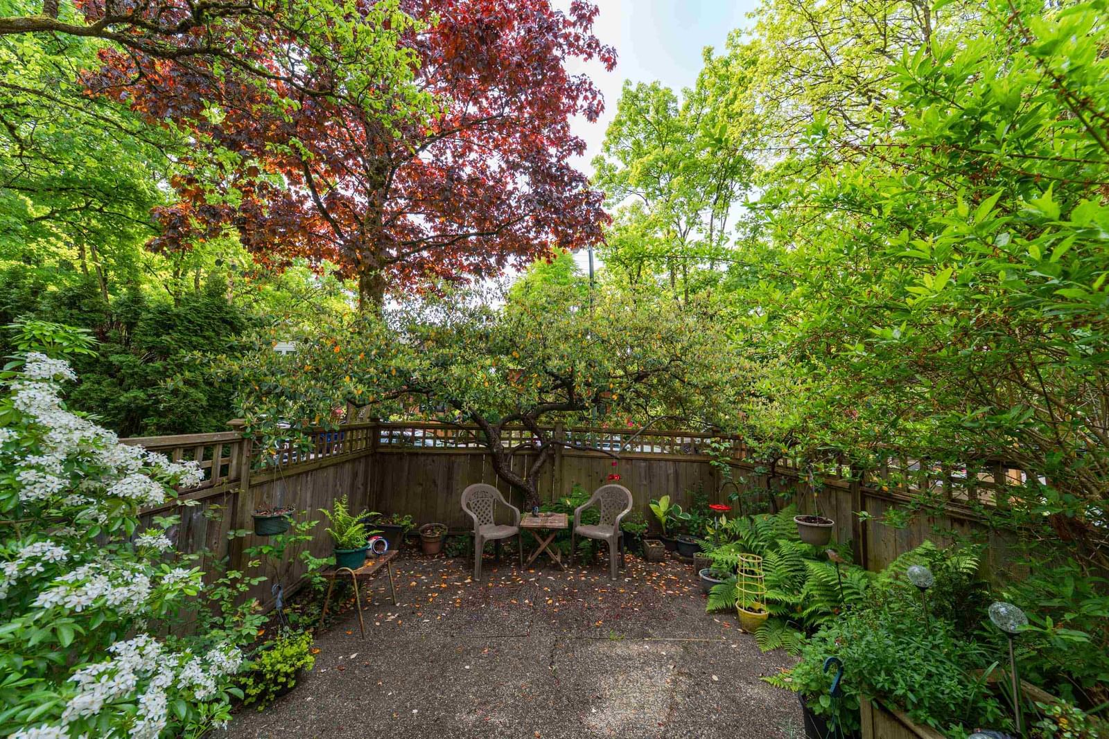 Listing Image 21