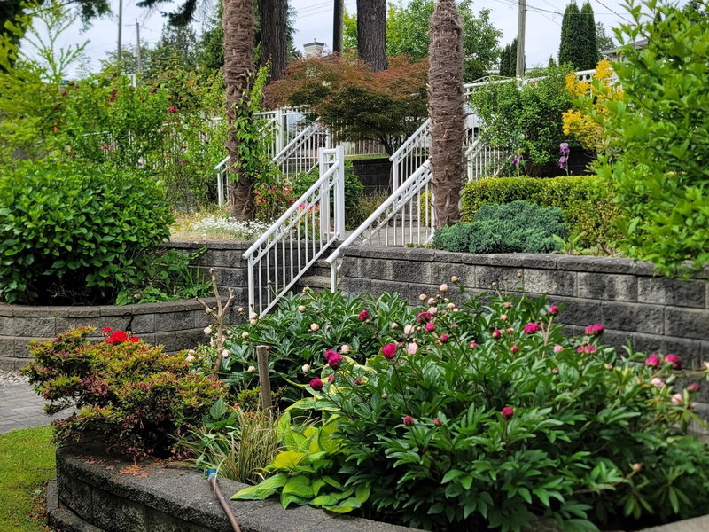 3330 Douglas Road, Burnaby, V5G 3N9 | Image 2