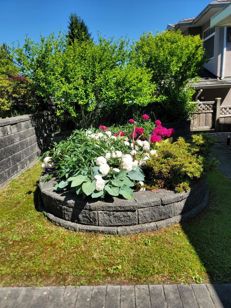 3330 Douglas Road, Burnaby, V5G 3N9 | Image 3