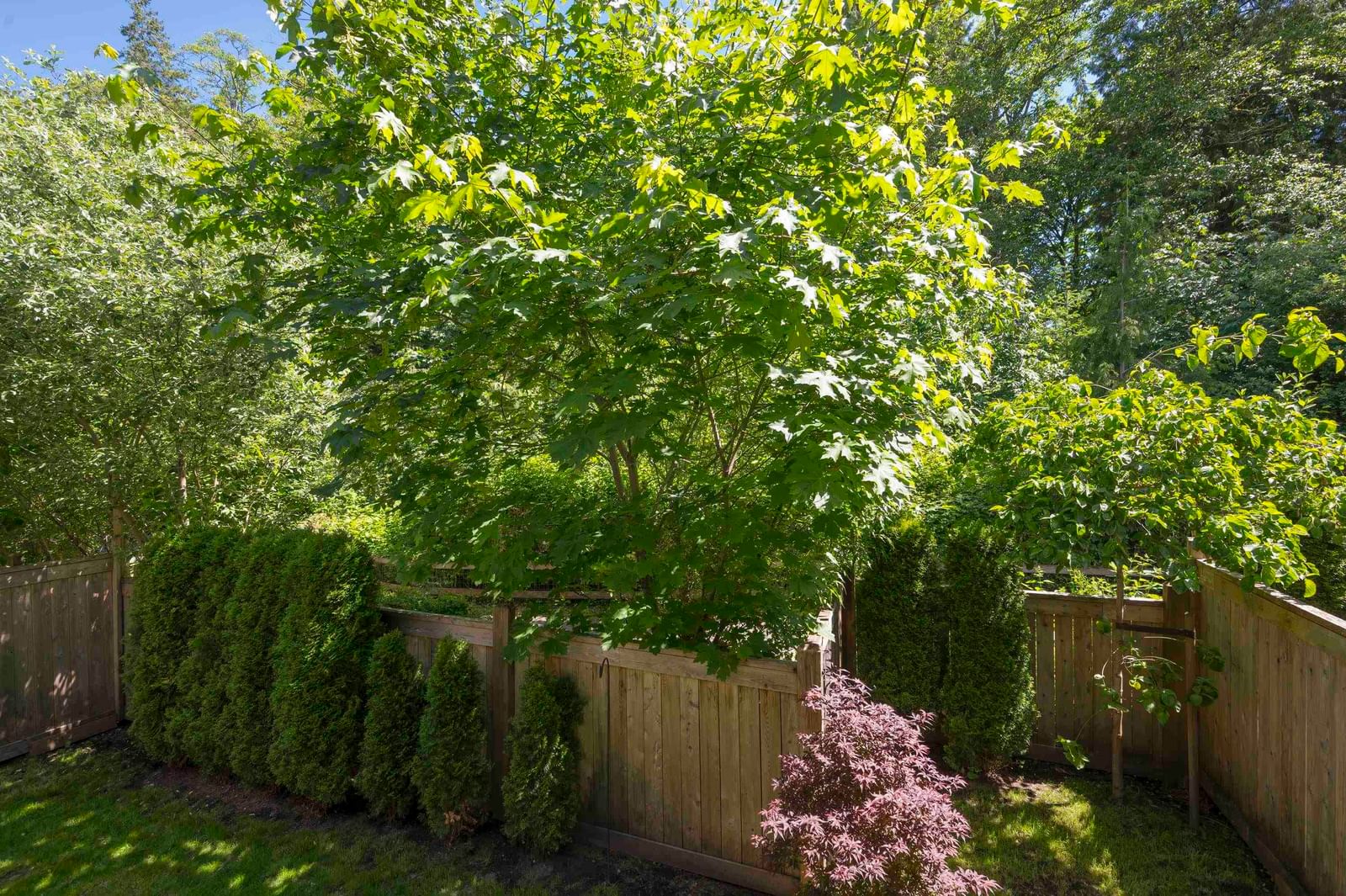 Listing Image 36