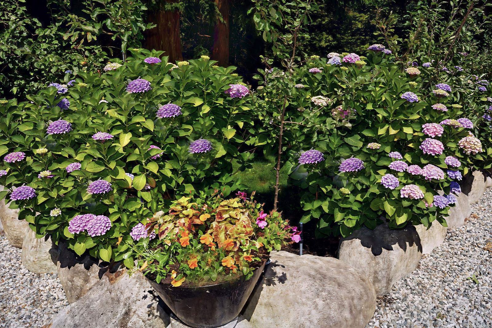 Listing Image 37