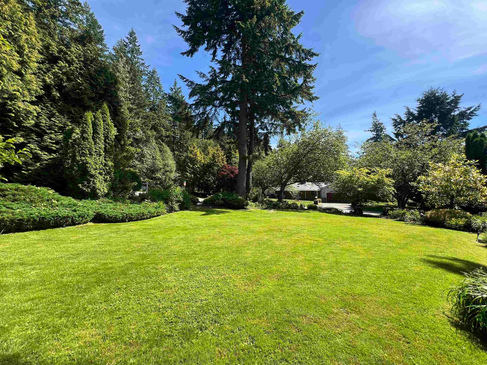Listing Image 40