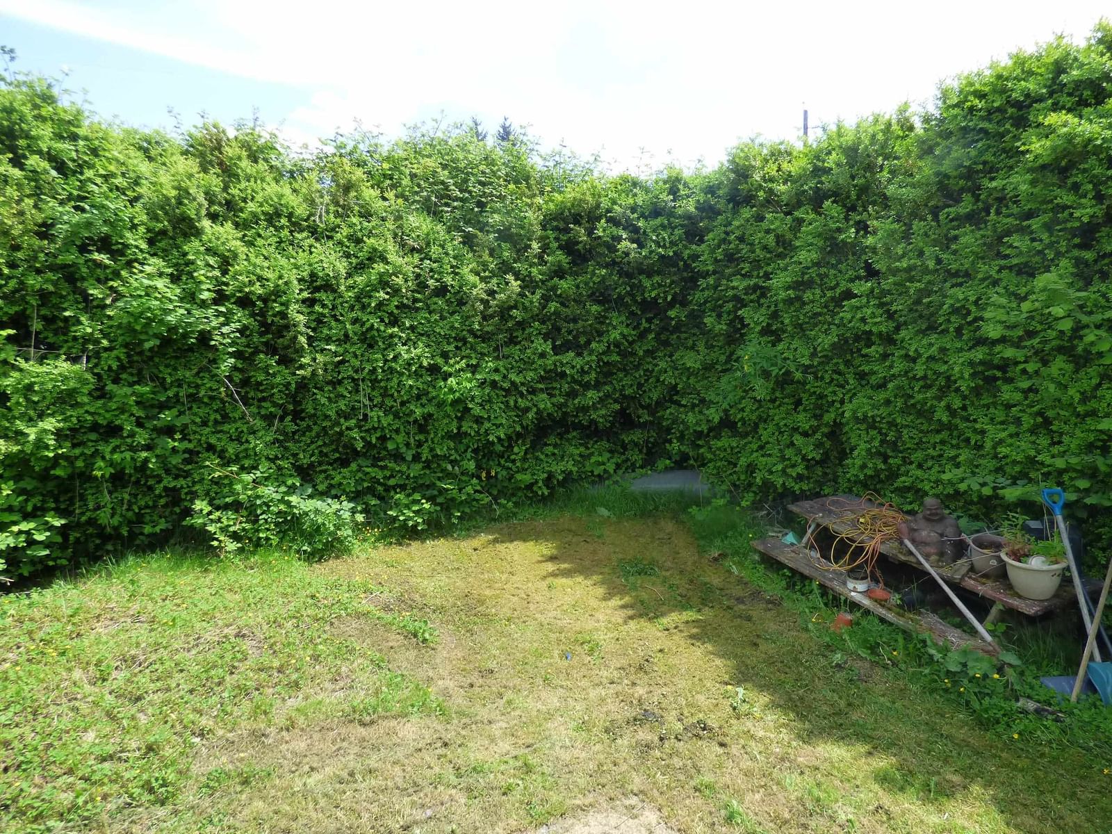 Listing Image 18