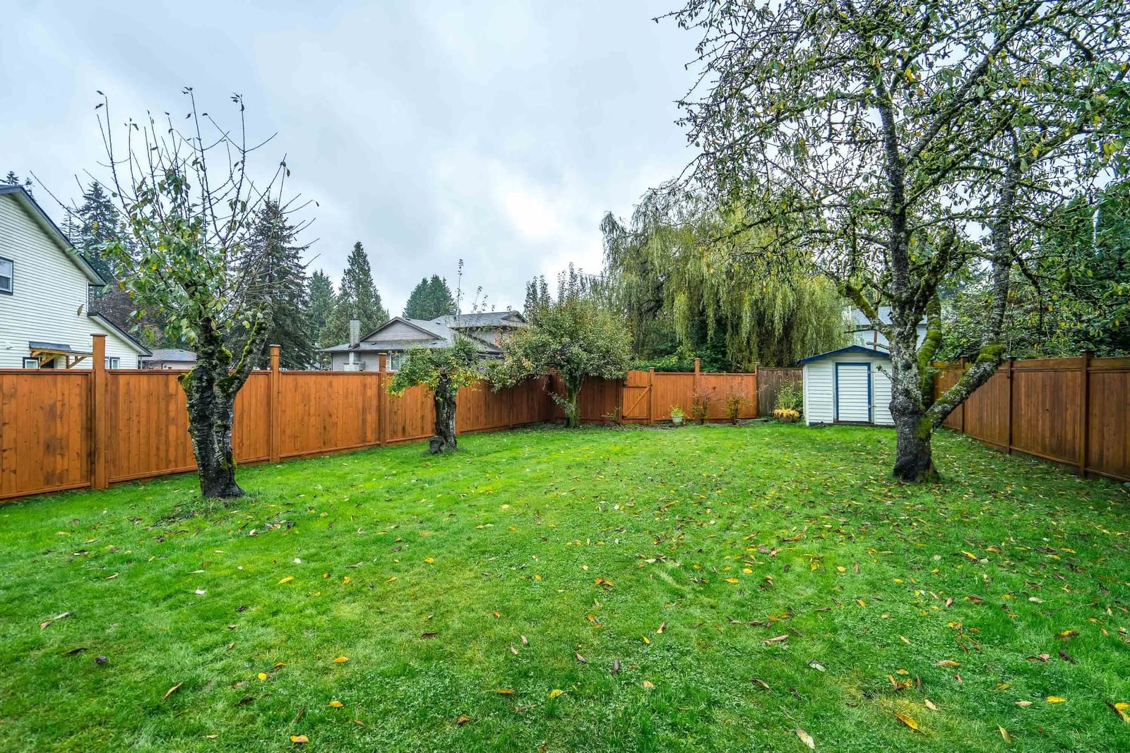 Listing Image 19