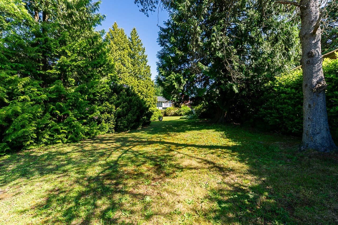 Listing Image 34