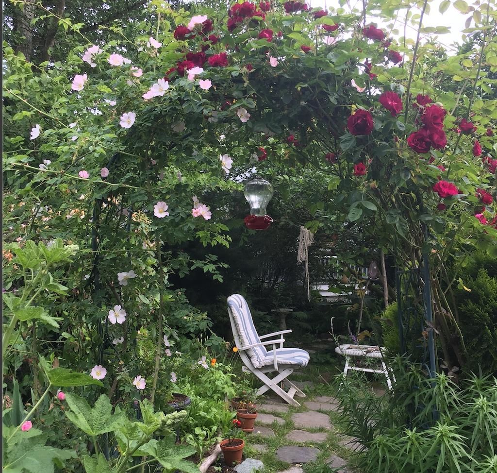 Listing Image 32