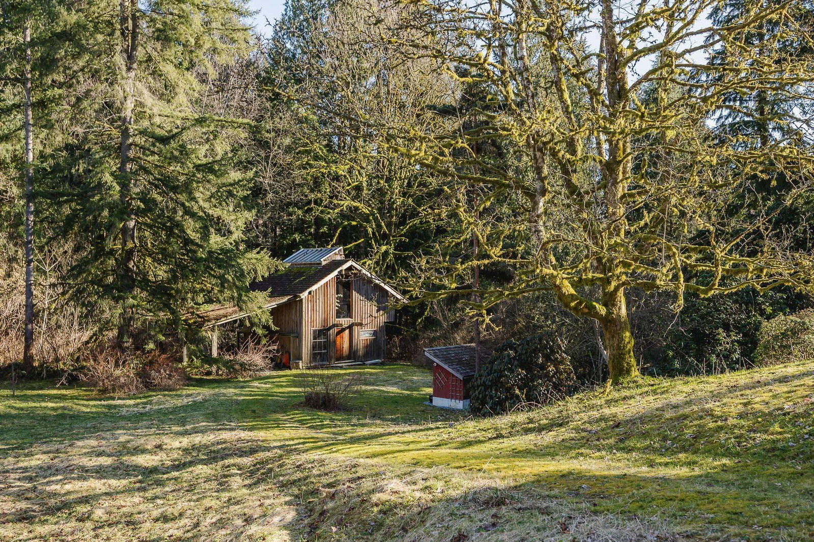 Listing Image 20