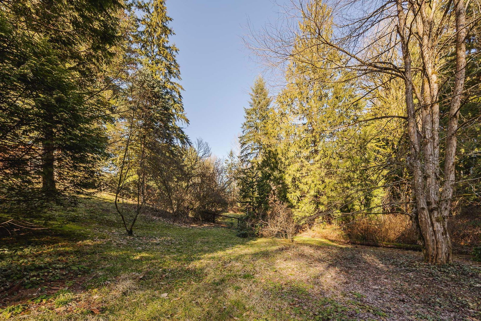 Listing Image 37
