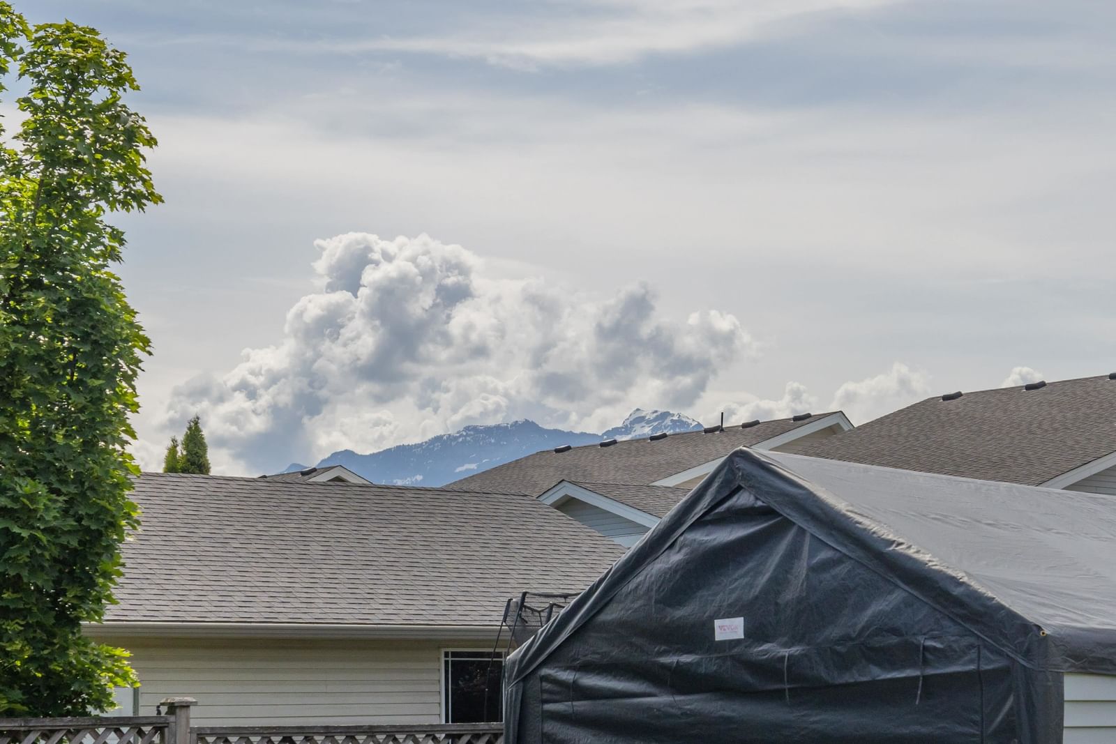 Listing Image 39