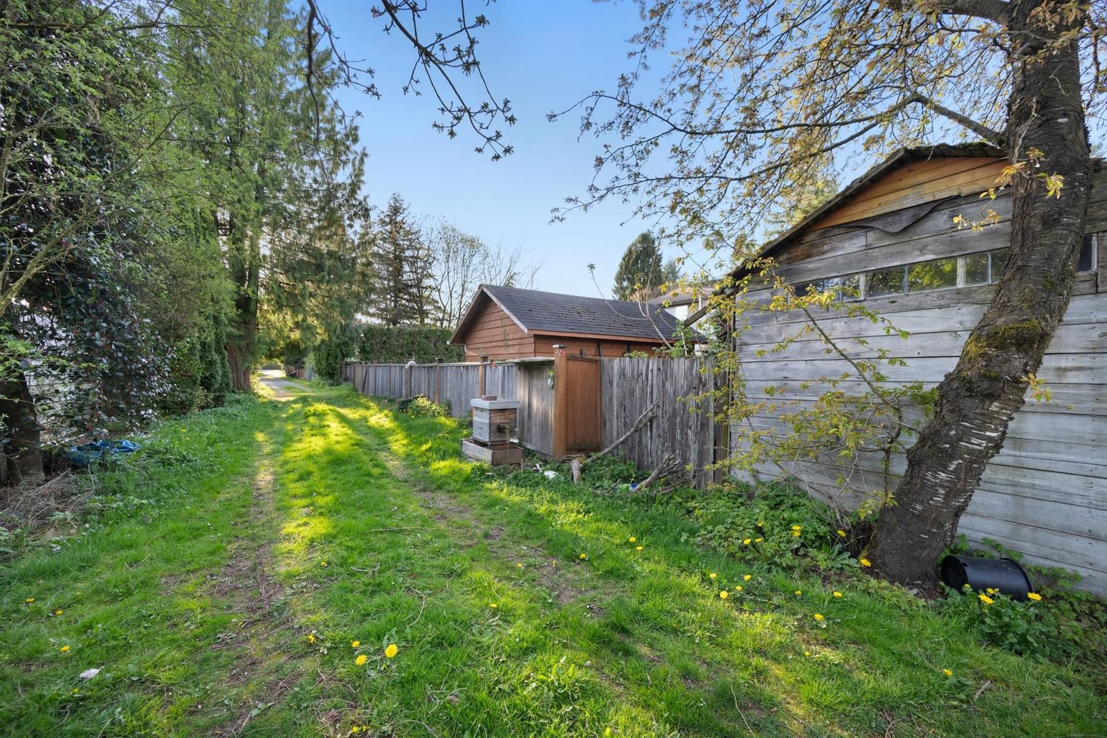 Listing Image 15