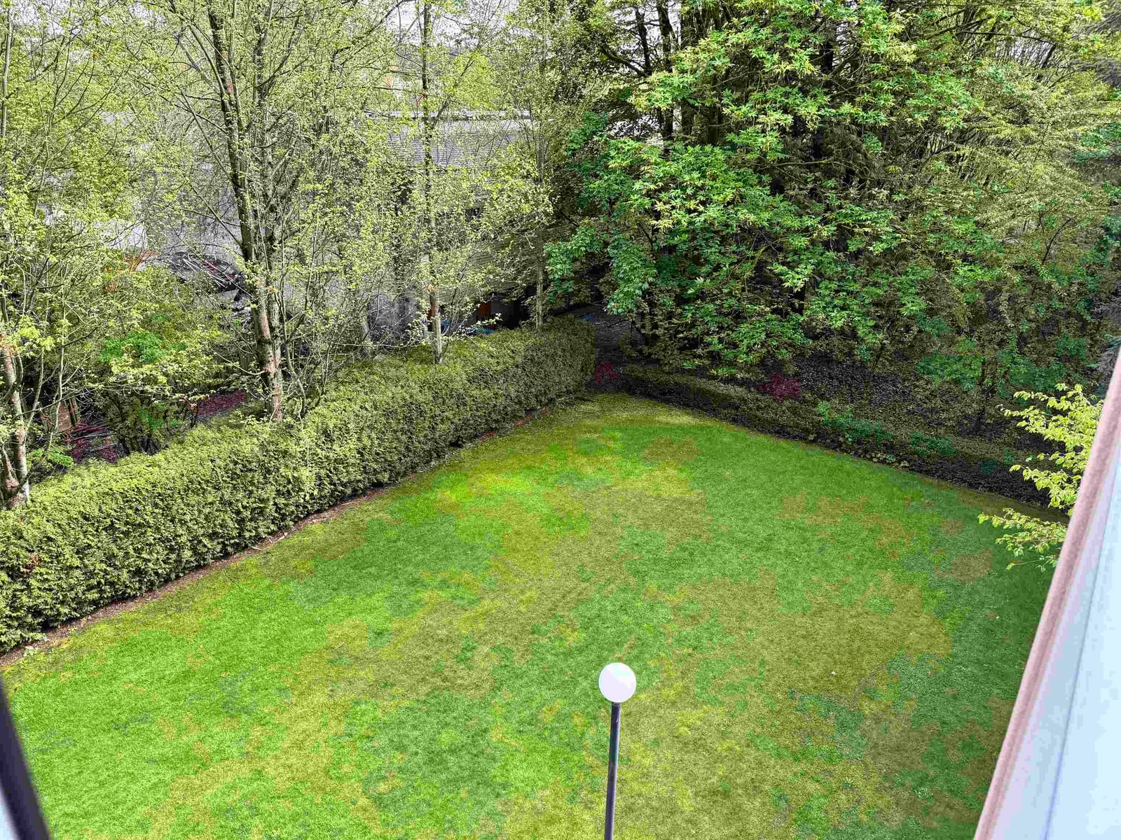 Listing Image 25