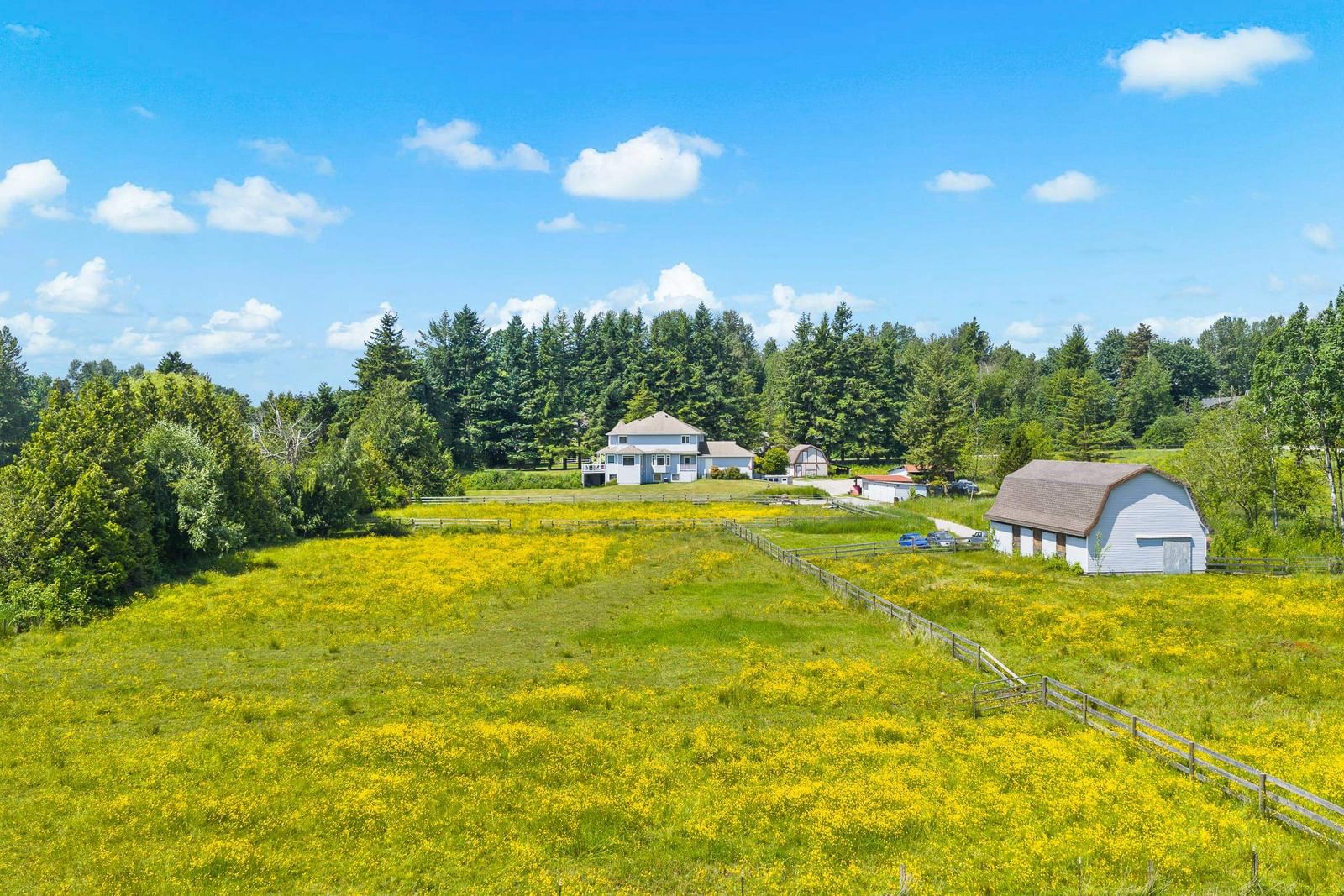Listing Image 9