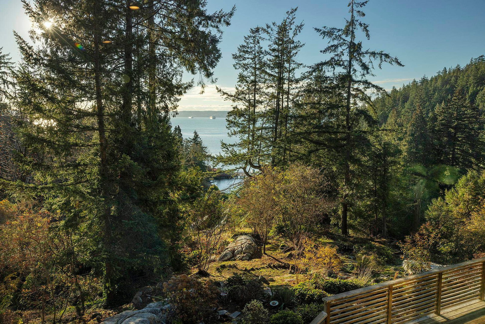 Listing Image 14