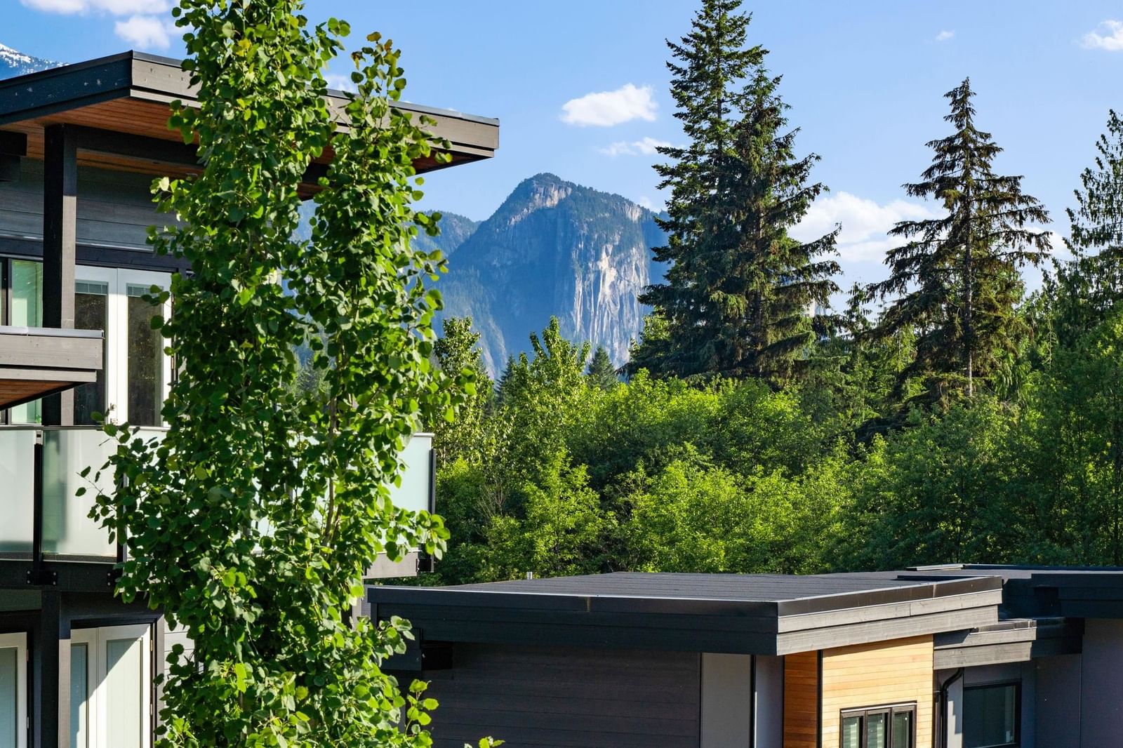 Listing Image 26