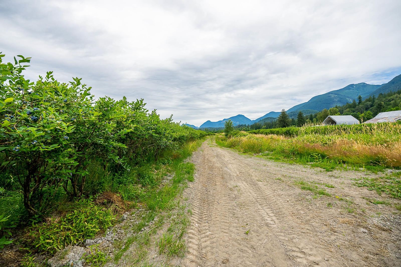 Listing Image 23