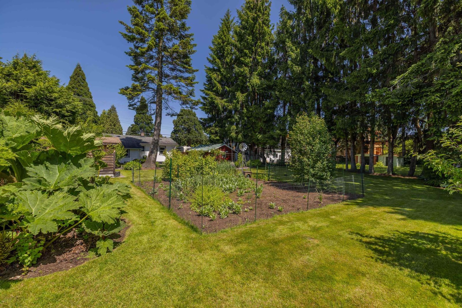Listing Image 17