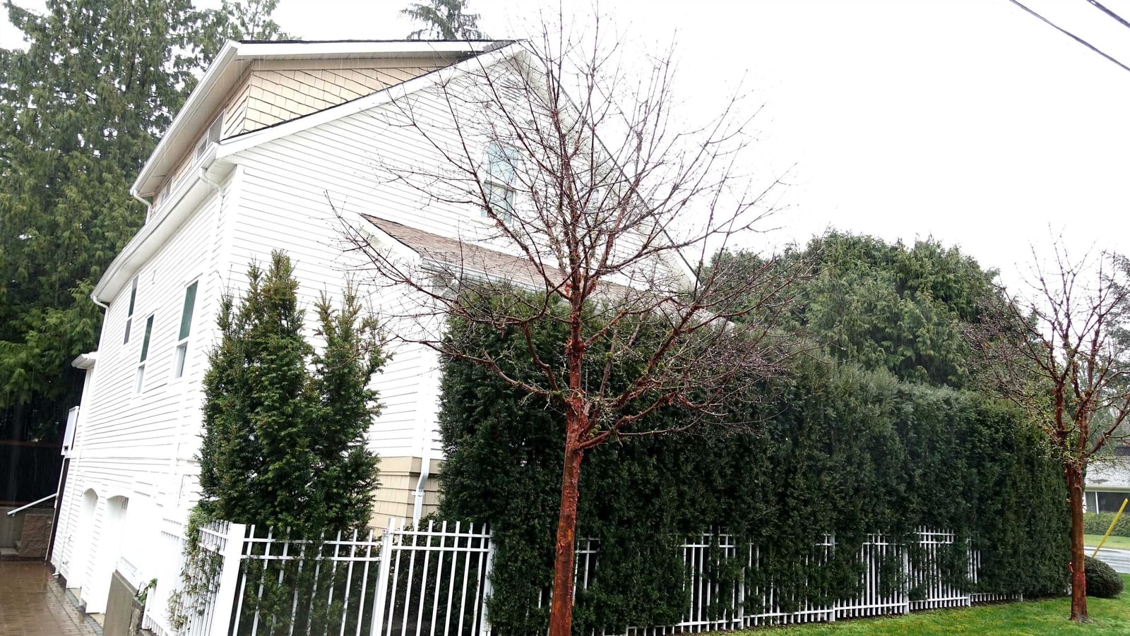 Listing Image 22