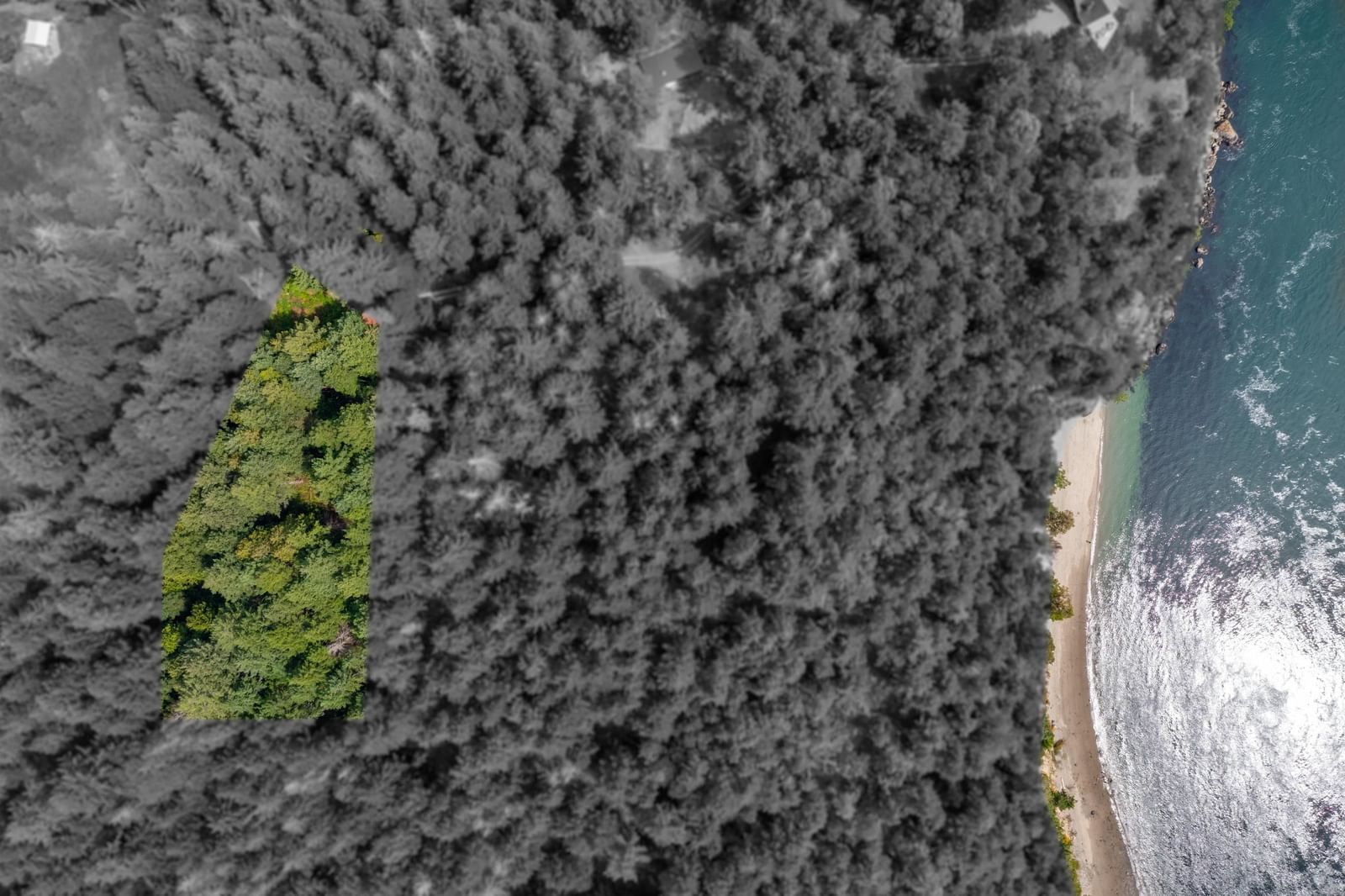 Listing Image 14