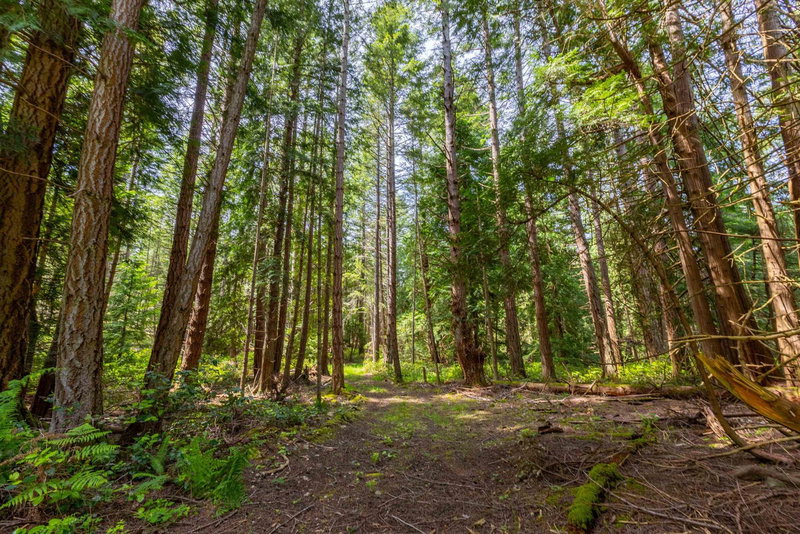 286 Orca View Lane, Galiano Island, V0N 1P0 | Image 3