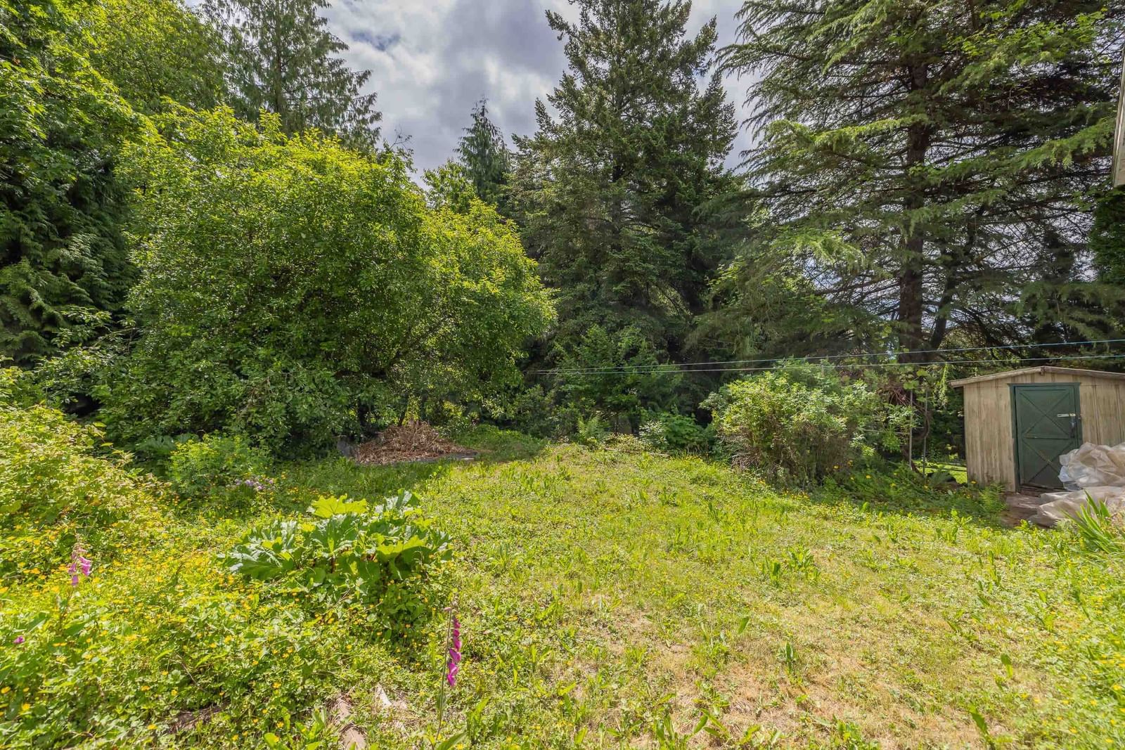 Listing Image 37