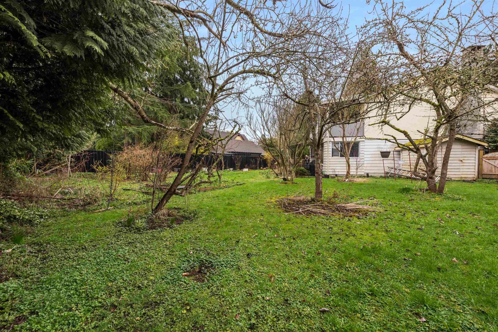 Listing Image 37