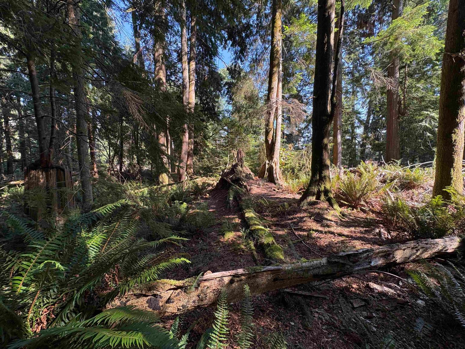 Listing Image 8