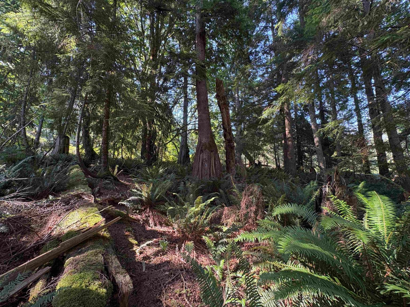Listing Image 9