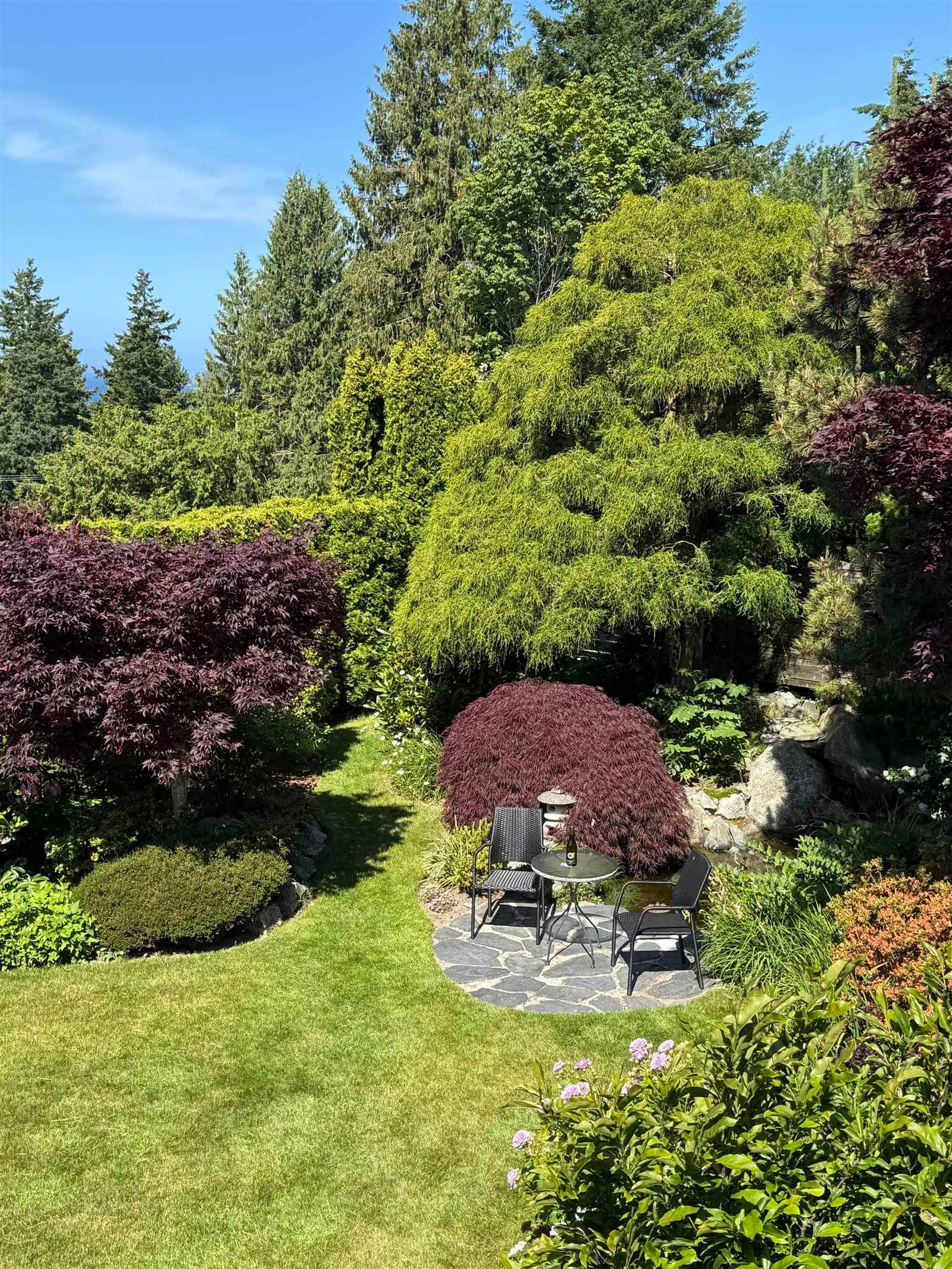 Listing Image 31