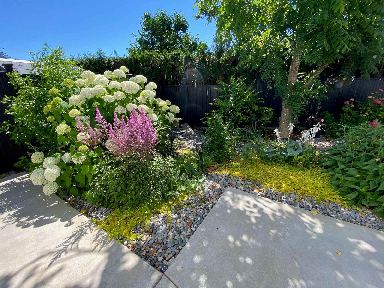 Listing Image 34