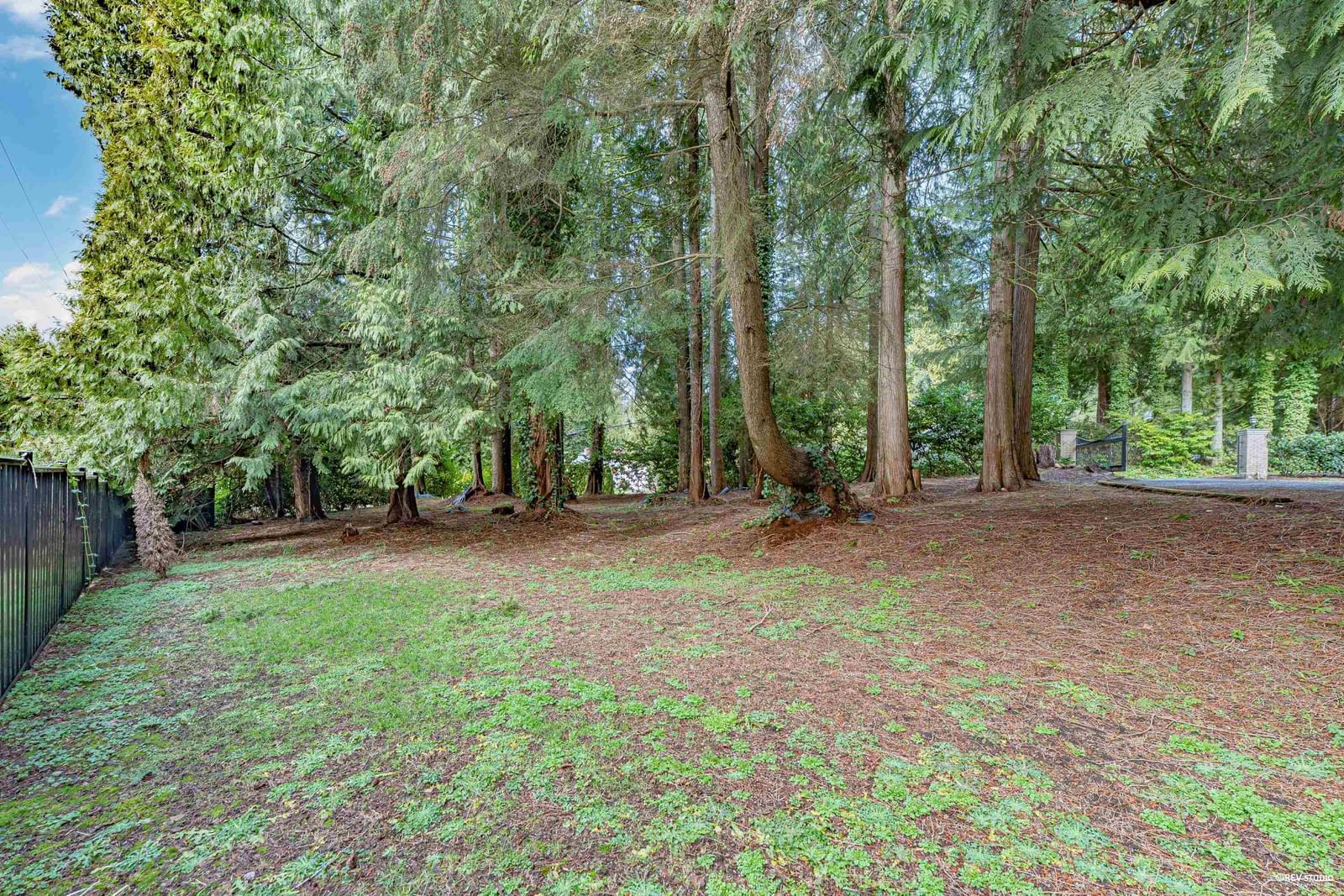 Listing Image 29
