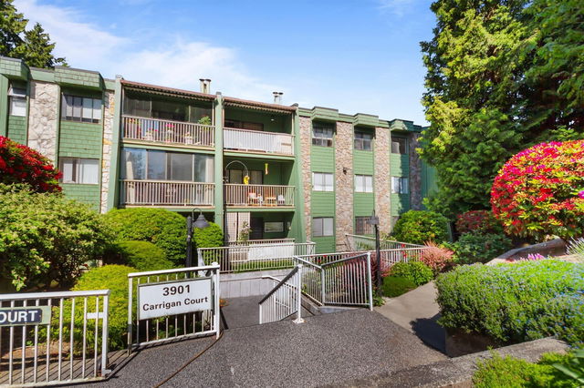 302 - 3901 Carrigan Court