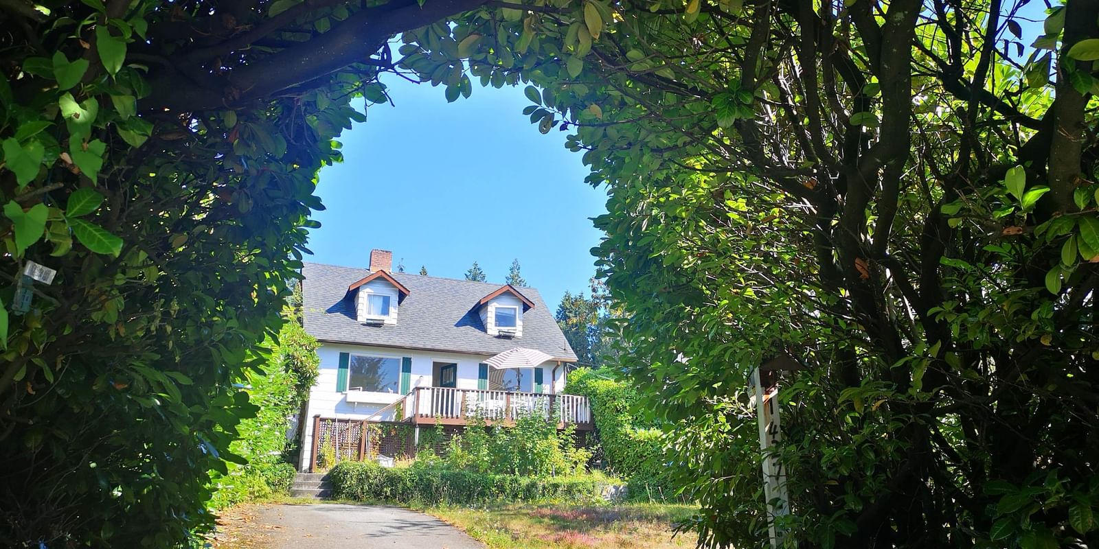 Listing Image 12