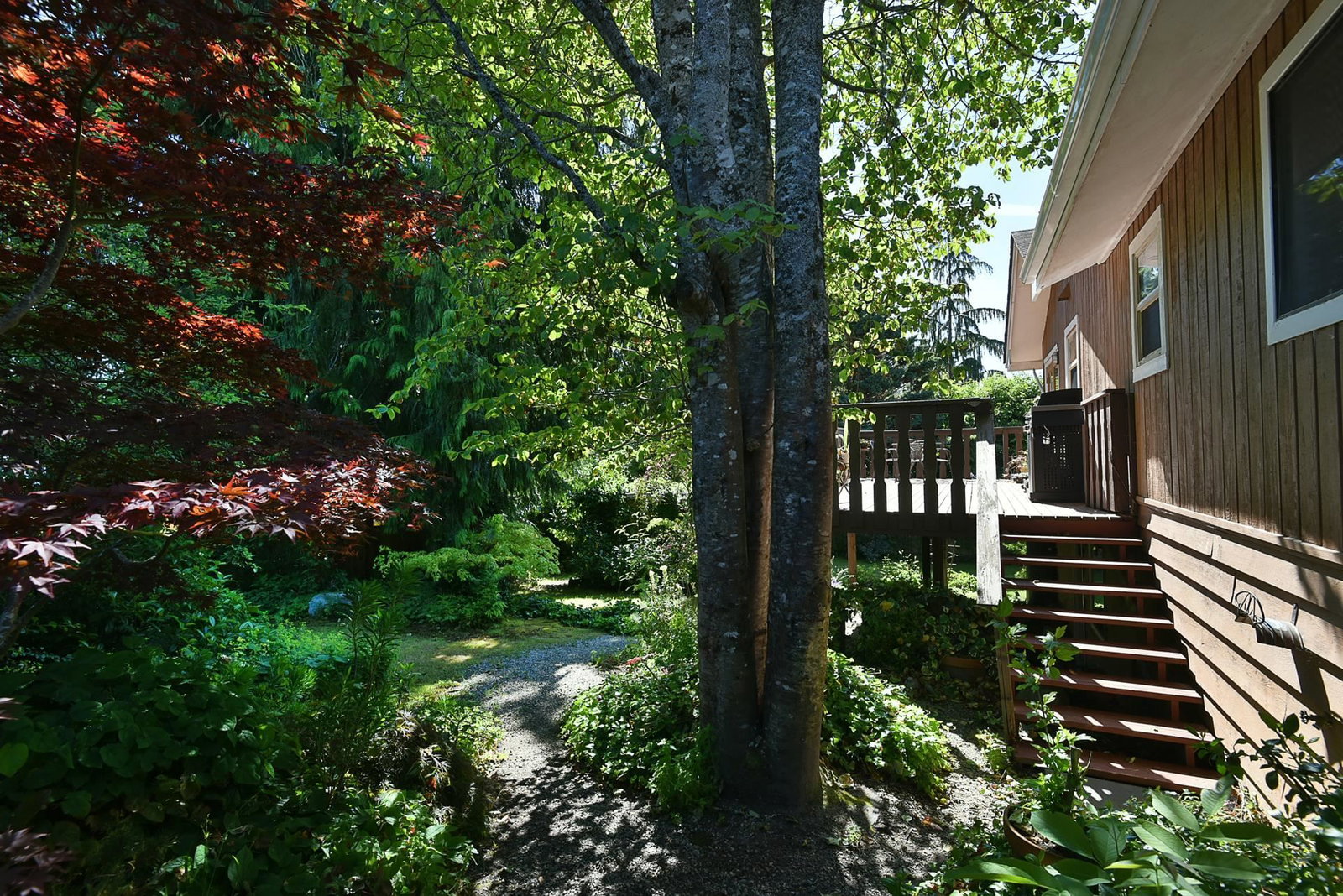 Listing Image 29