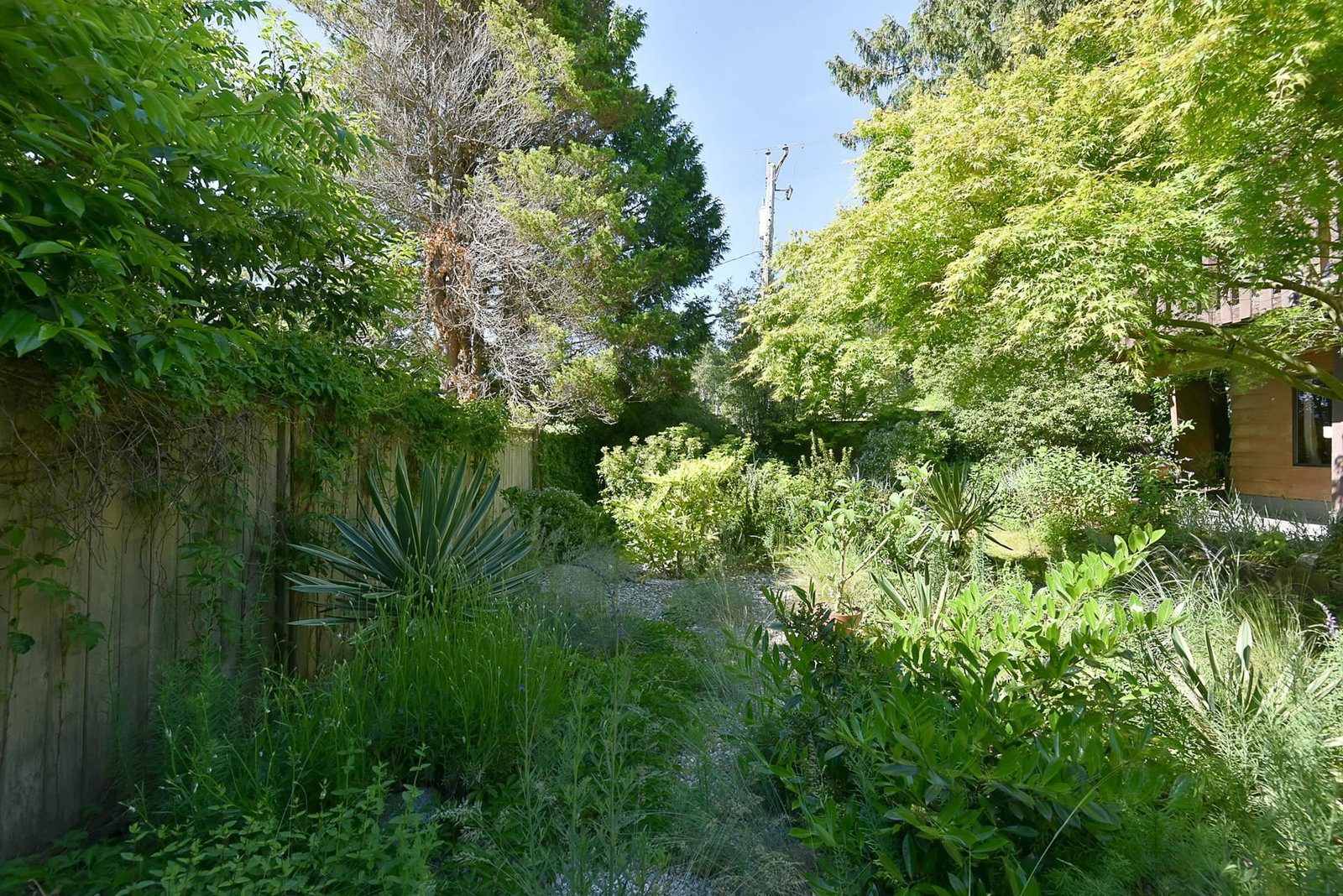 Listing Image 32