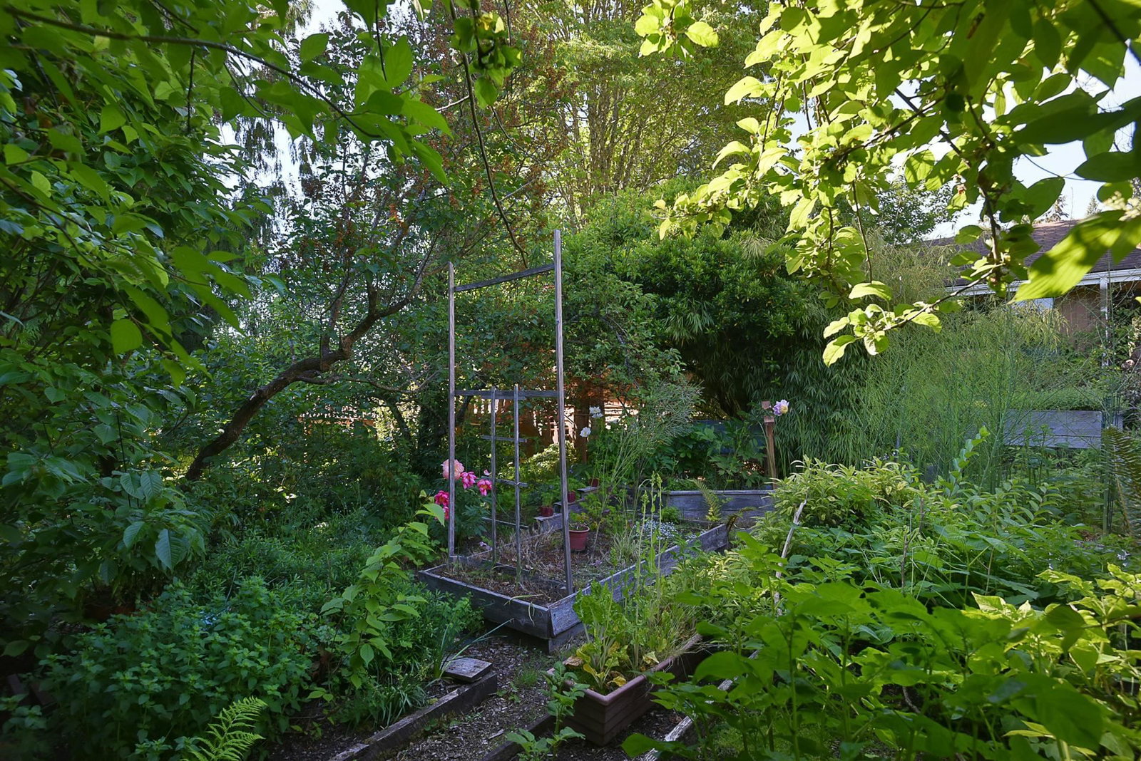Listing Image 34
