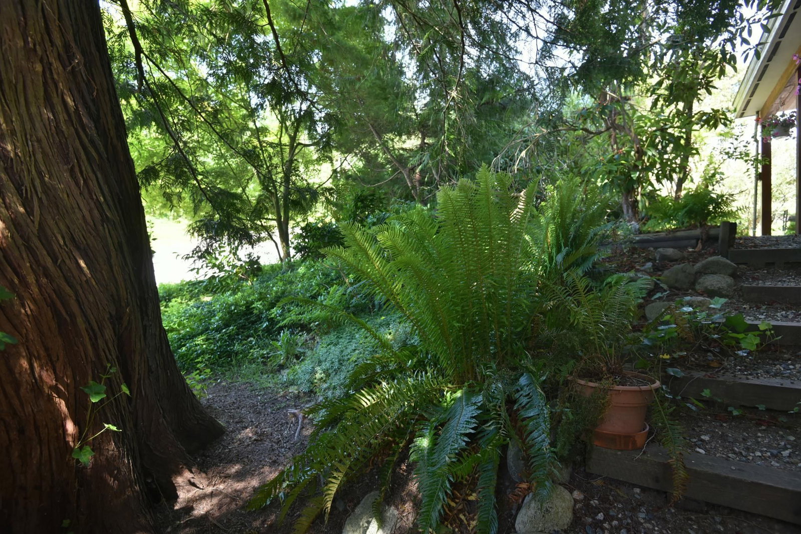 Listing Image 36
