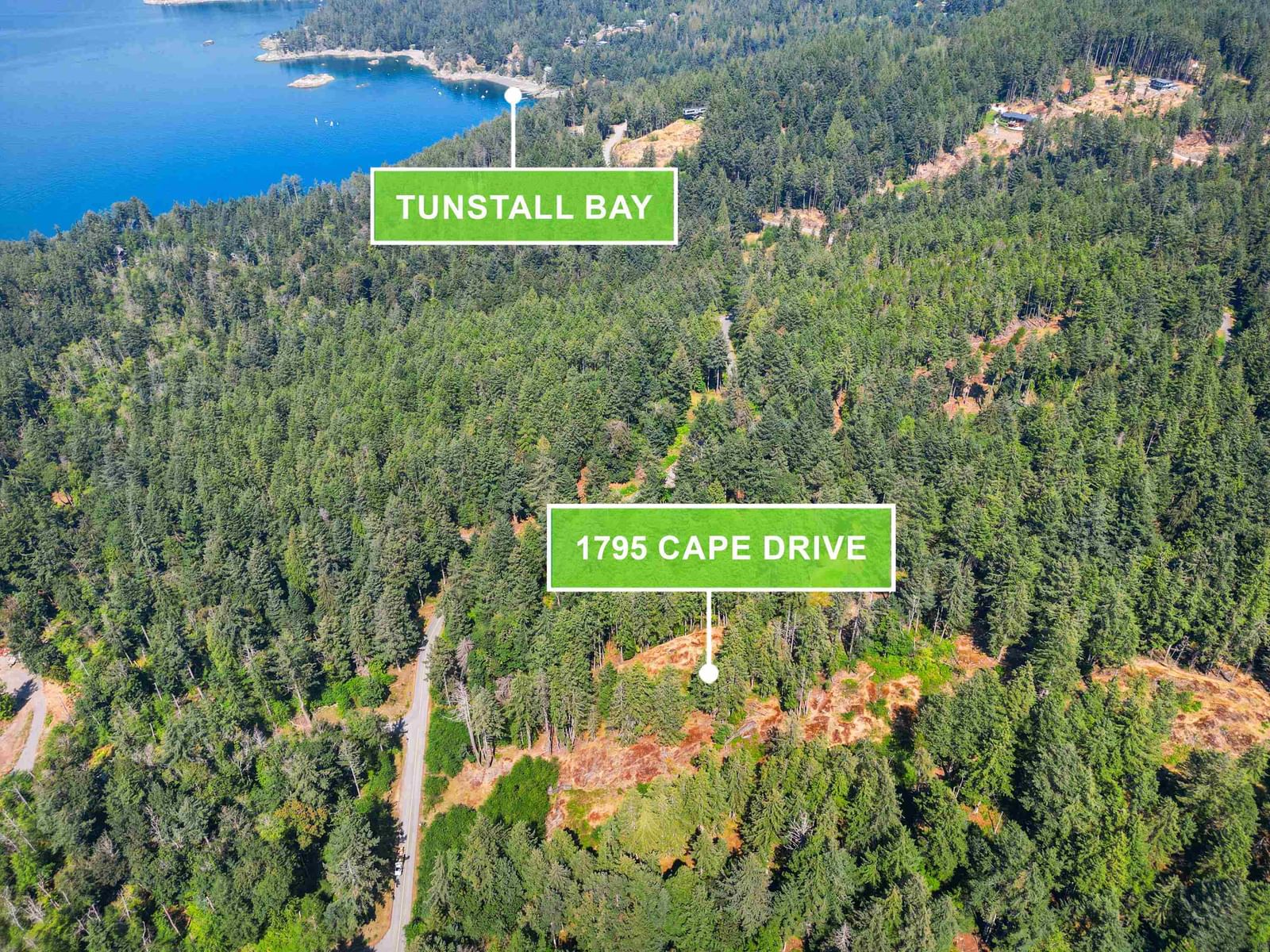 Listing Image 12