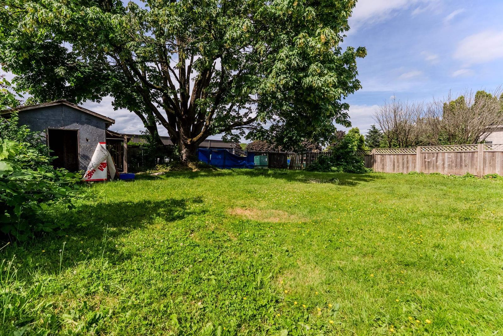 Listing Image 10