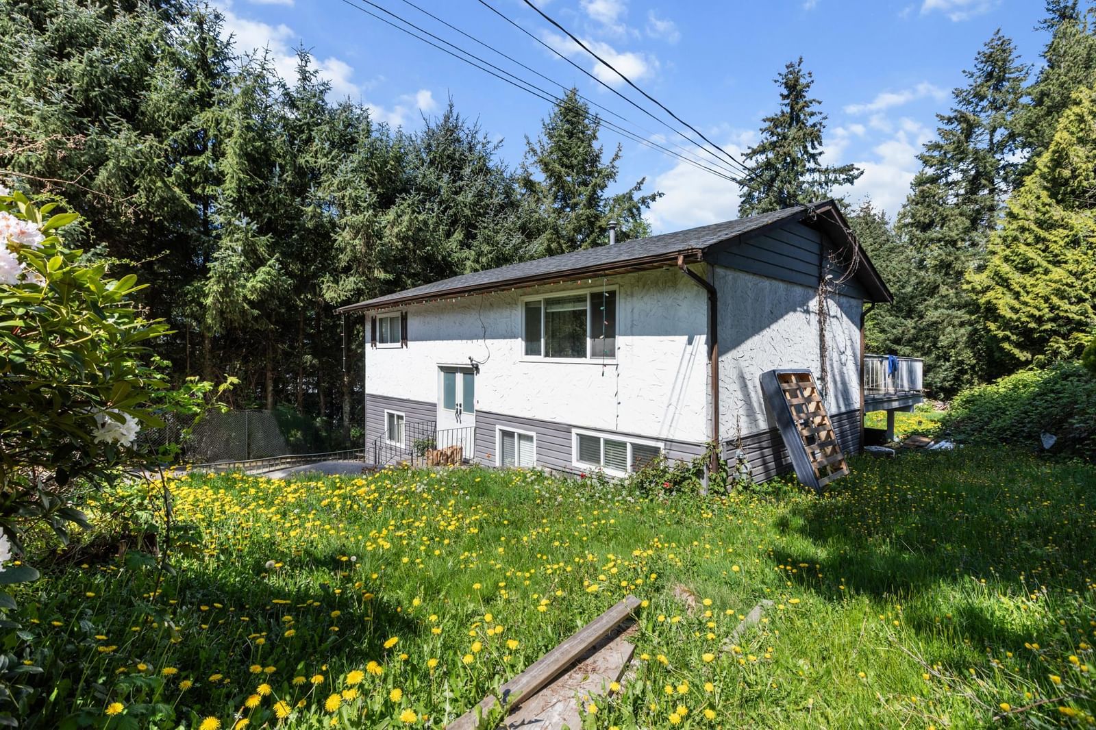 Listing Image 24